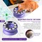 Puzzle Feeder Toy for Cats Interactive IQ Slow Feed Bowl for Healthy Weight
